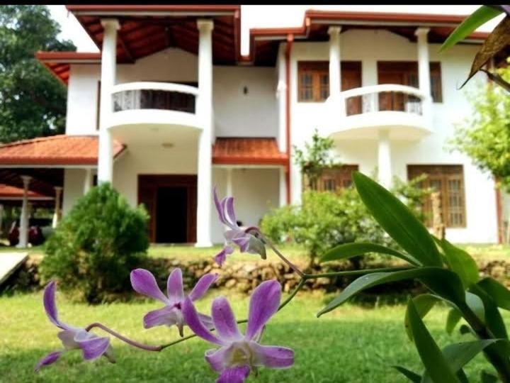 Blue Point Rest Hotel Tangalle Kültér fotó
