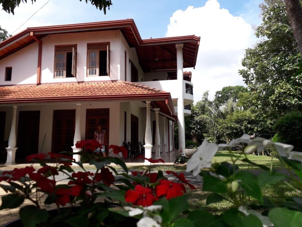 Blue Point Rest Hotel Tangalle Kültér fotó