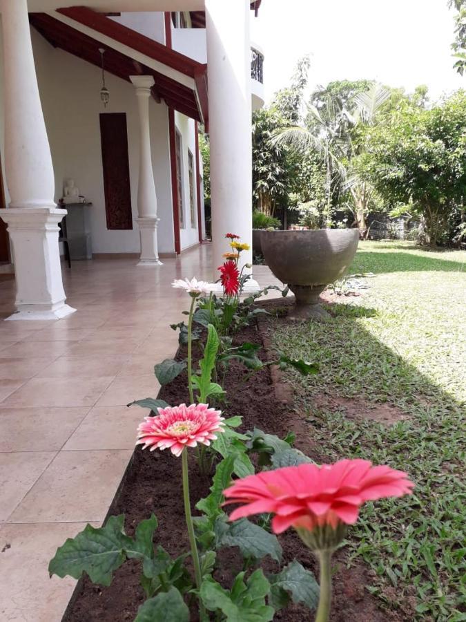 Blue Point Rest Hotel Tangalle Kültér fotó